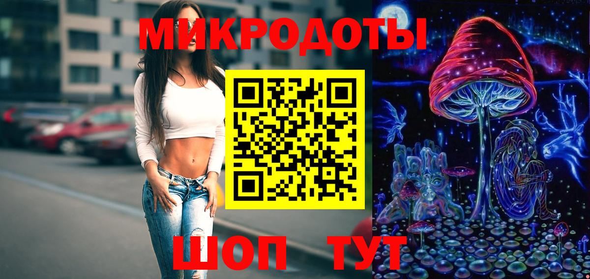 Галлюциногенные грибы Psilocybine cubensis Лобня