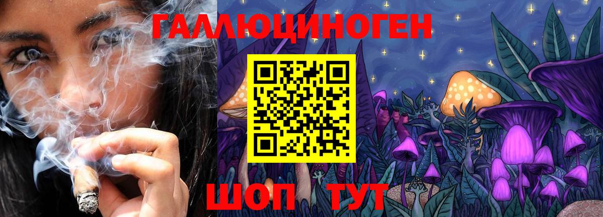 Лобня  Псилоцибиновые грибы Psilocybine cubensis  Вход с VPN 