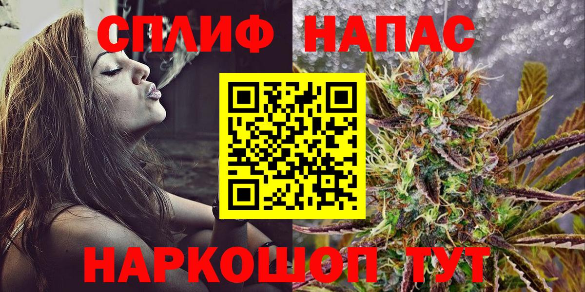 Бошки Шишки план Лобня